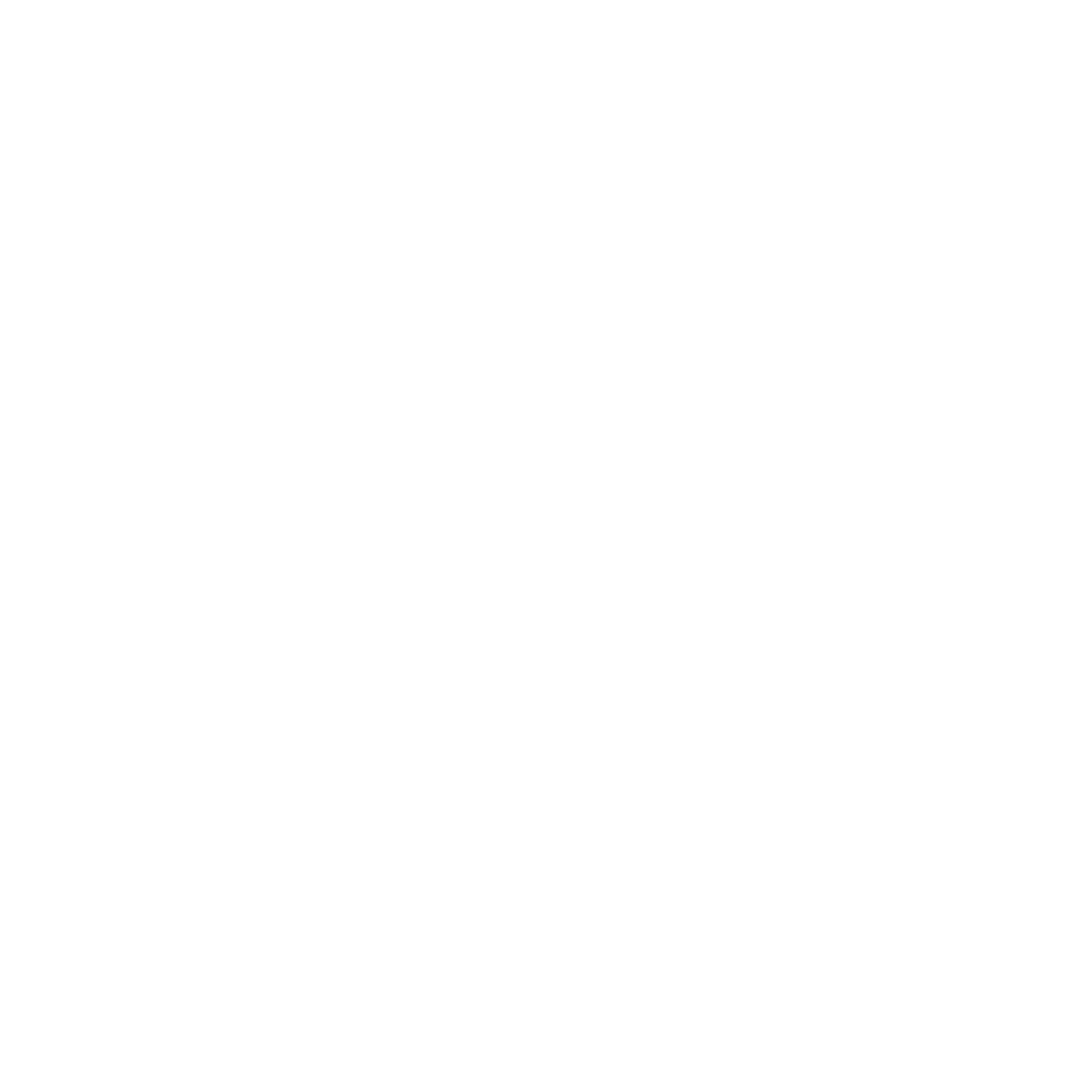 ASIC Silicon