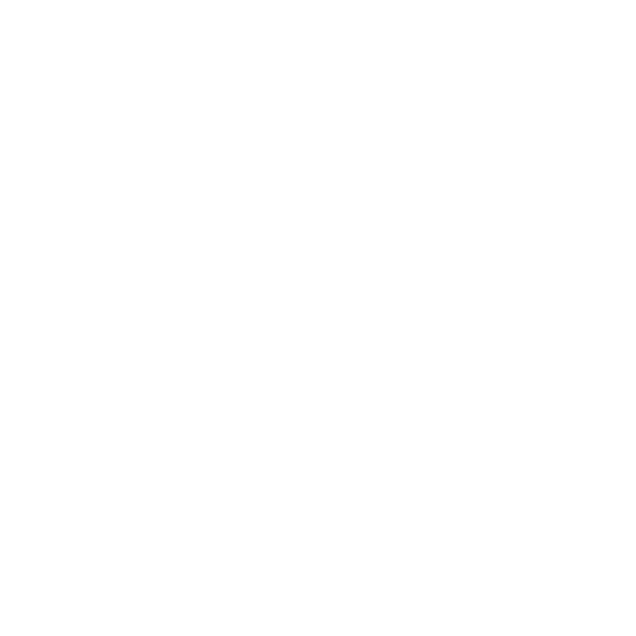 FPGA IP